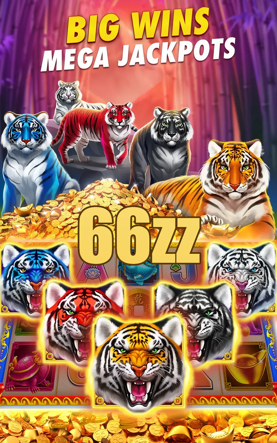 66zz লগইন